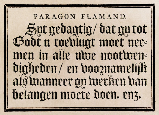 Rosart’s Paragon Flamande