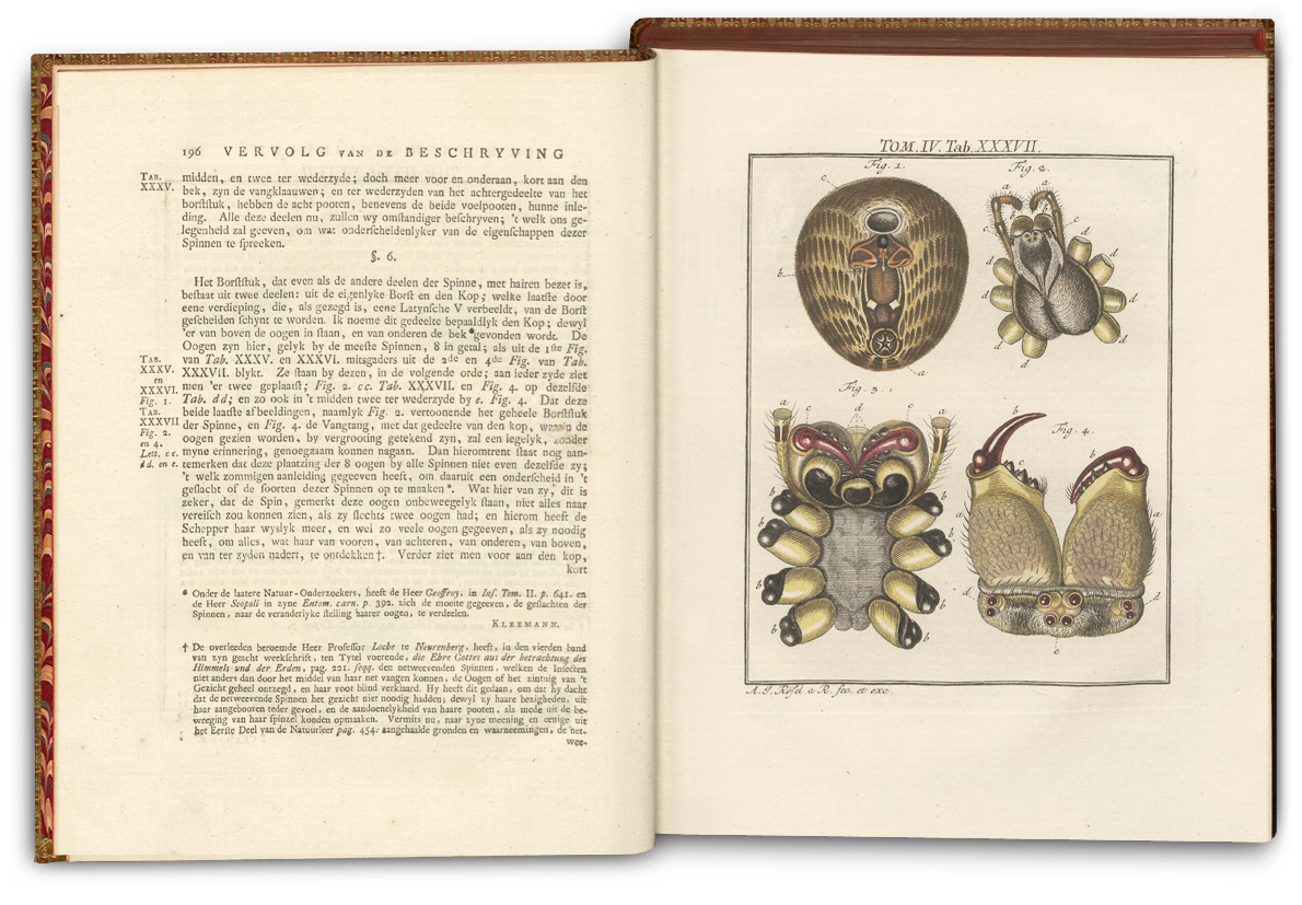 Double page spread of ‘De Natuurlyke Historie der Insecten’