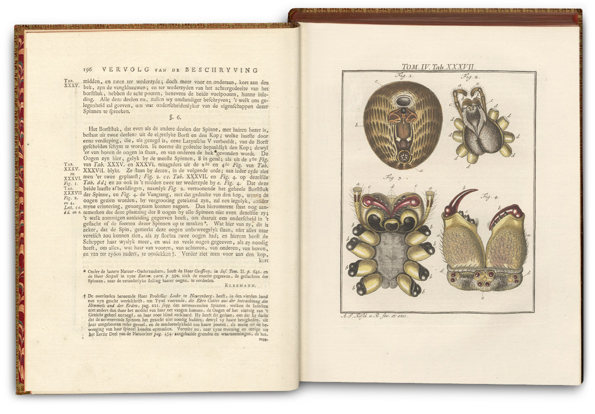 Image of De Natuurlyke Historie der Insecten Spread